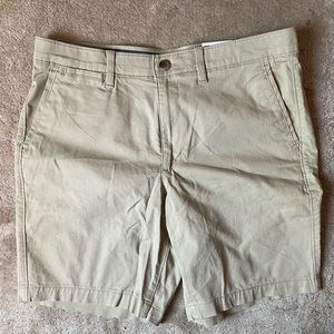 Khaki Men’s 36 Shorts